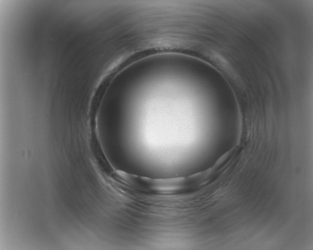 X0000062910488200601131430