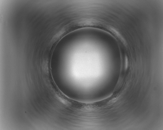 X0000062910489200601131430