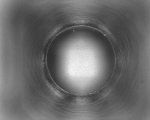 X0000062910490200601131430