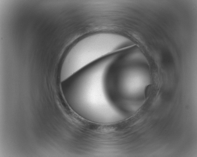 X0000062910491200601131430