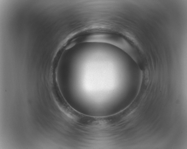 X0000062910492200601131430