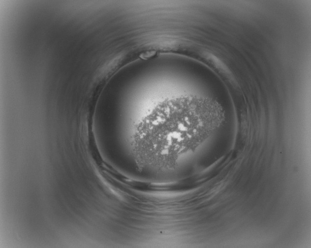 X0000062910493200601131430