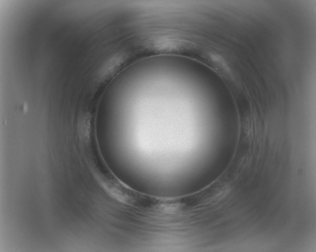 X0000062910495200601131430