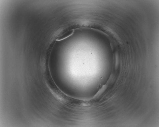 X0000062910496200601131430