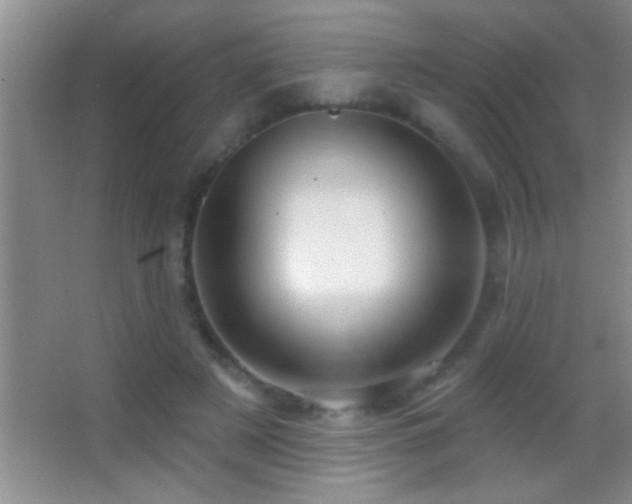 X0000062910497200601131430