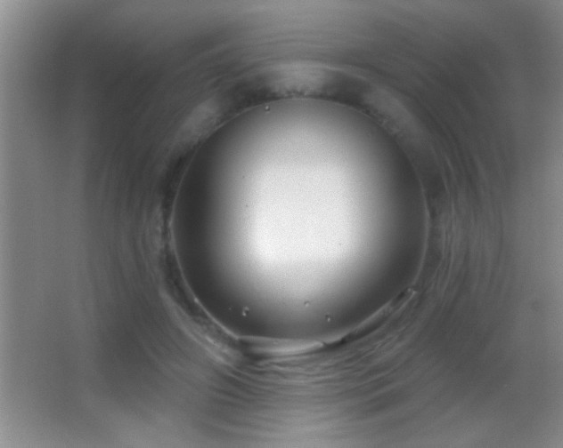 X0000062910498200601131430