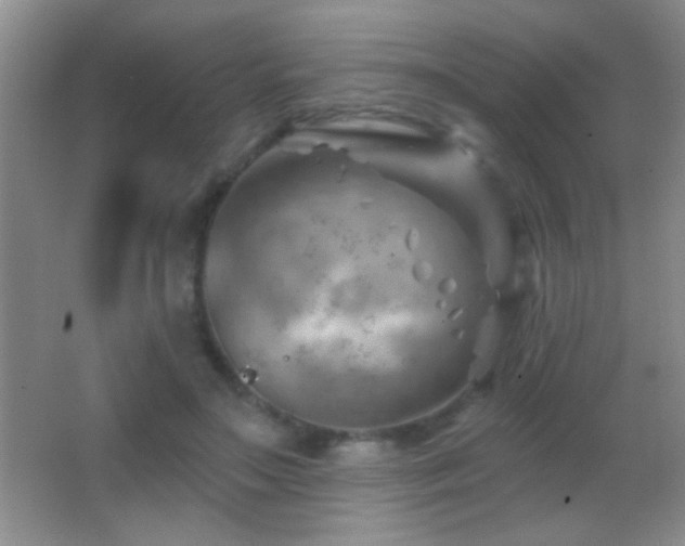 X0000062910499200601131430