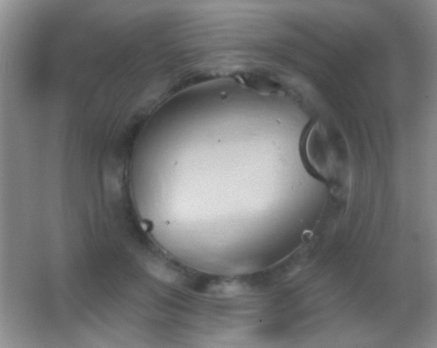 X0000062910503200601131430