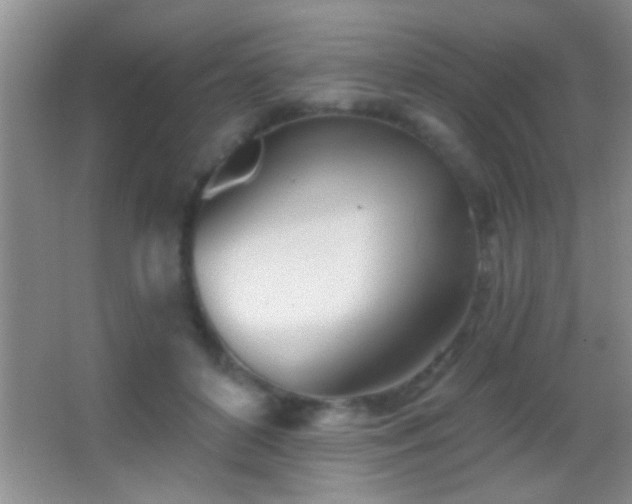 X0000062910504200601131430