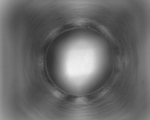 X0000062910505200601131430