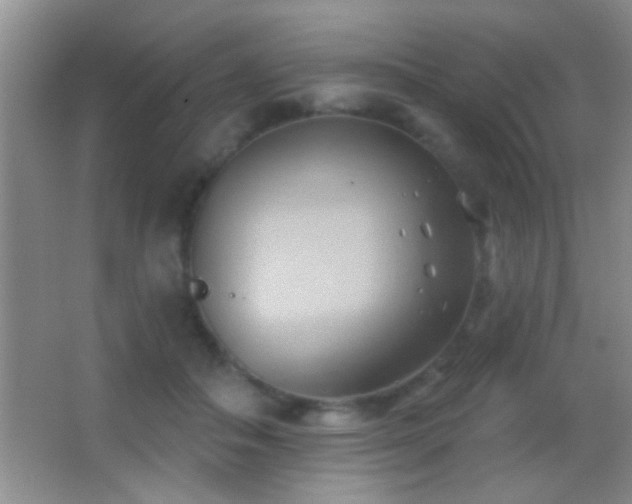 X0000062910506200601131430