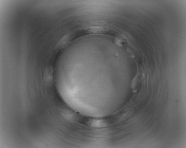 X0000062910507200601131430