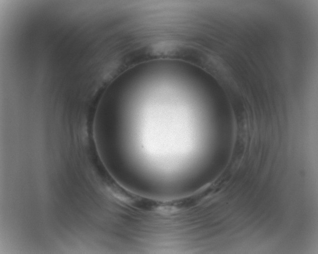 X0000062910508200601131430