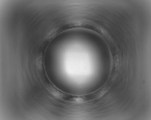 X0000062910509200601131429