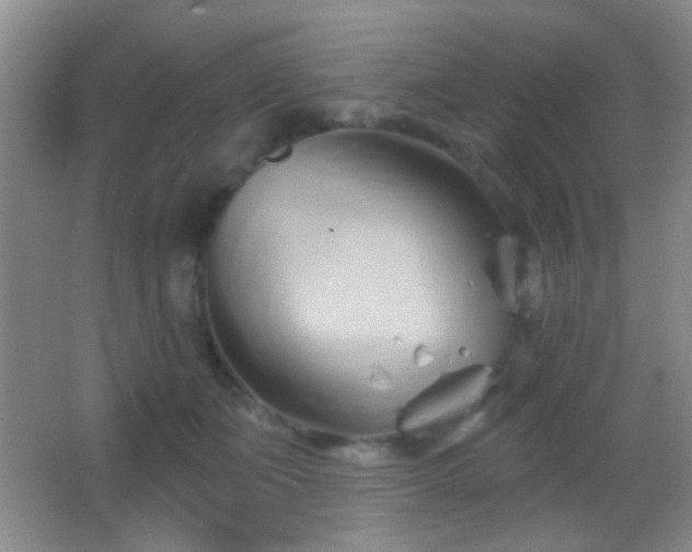 X0000062910511200601131429