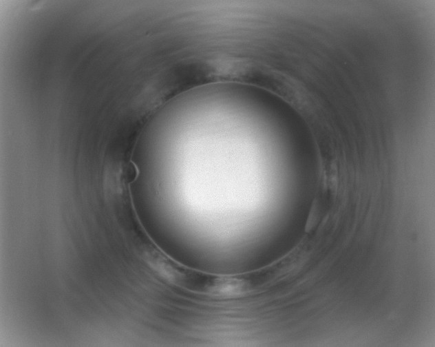 X0000062910514200601131429