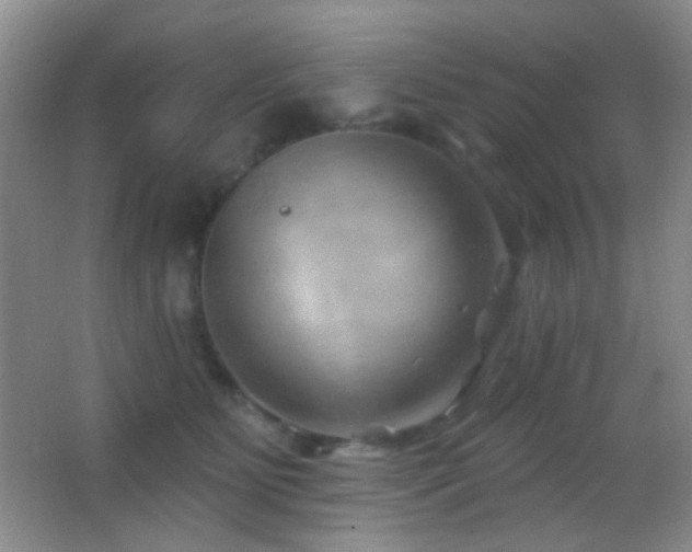 X0000062910515200601131429