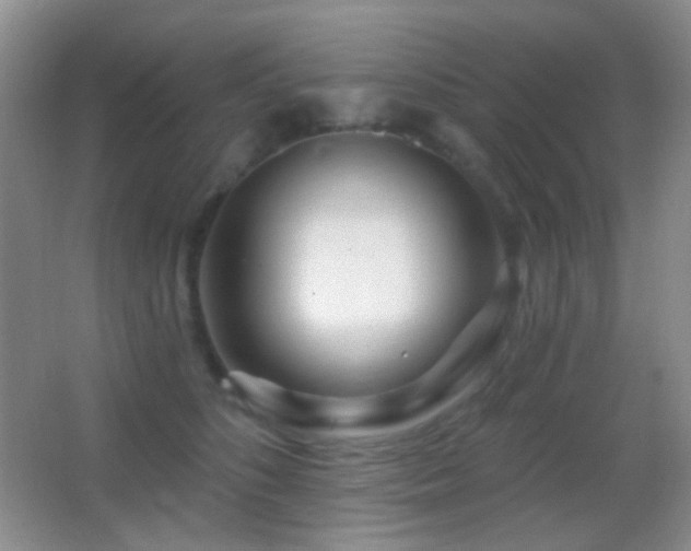 X0000062910516200601131429