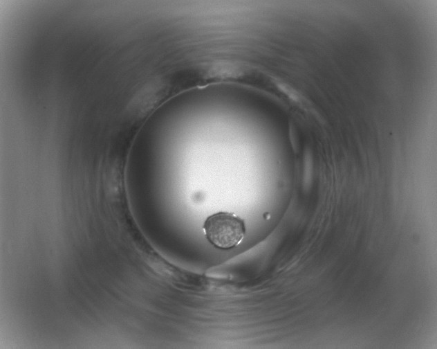 X0000062910517200601131429