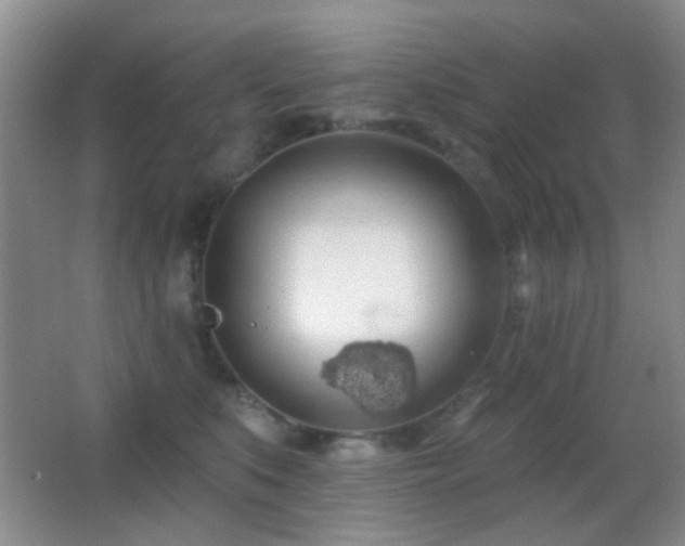 X0000062910519200601131429