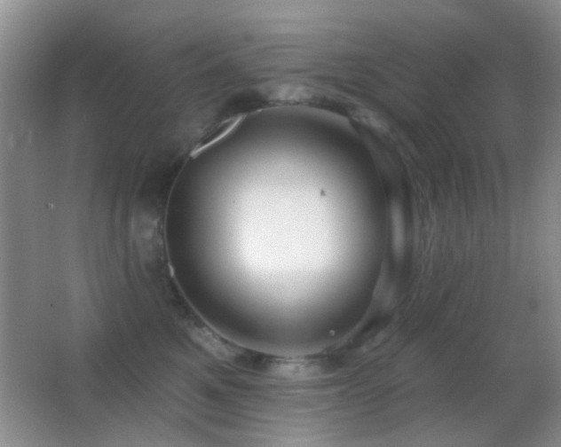 X0000062910521200601131429