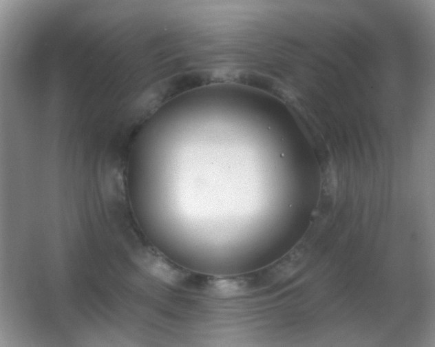 X0000062910522200601131429