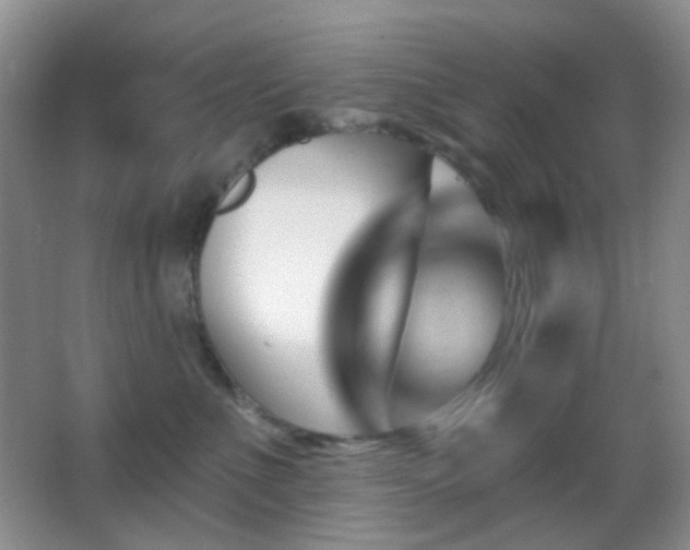 X0000062910523200601131429