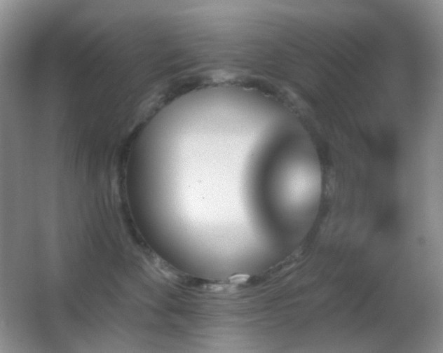 X0000062910524200601131429