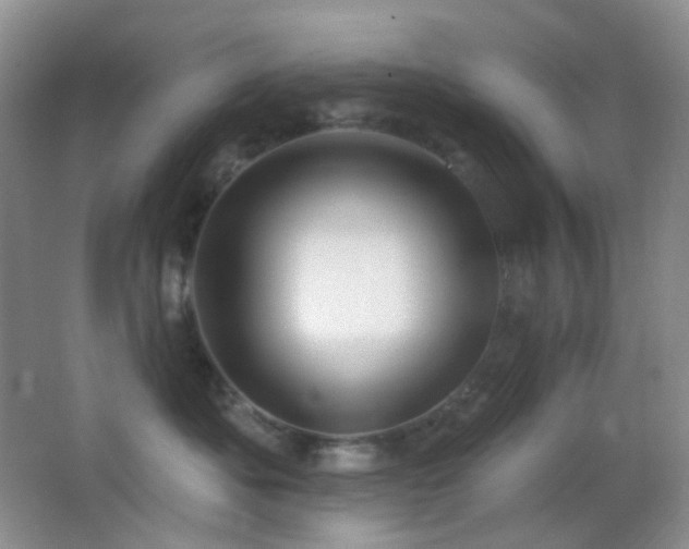 X0000062910525200601131429