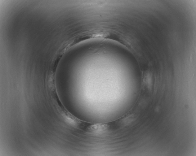 X0000062910526200601131429