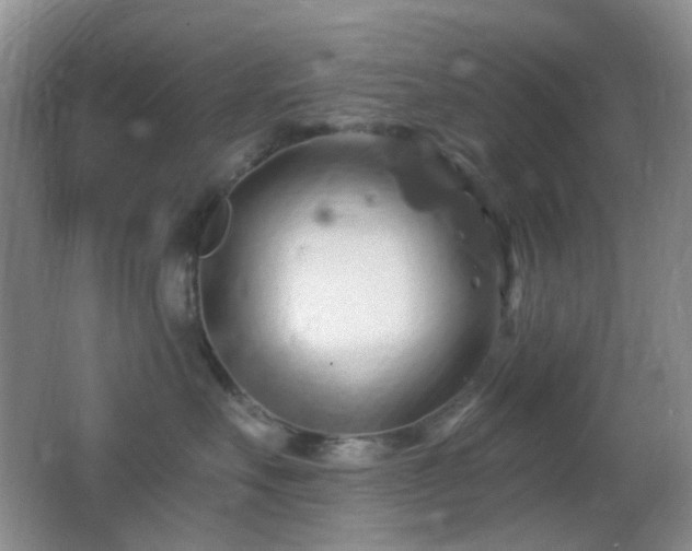 X0000062910527200601131429