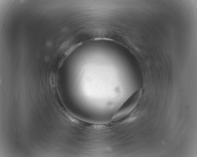 X0000062910528200601131429