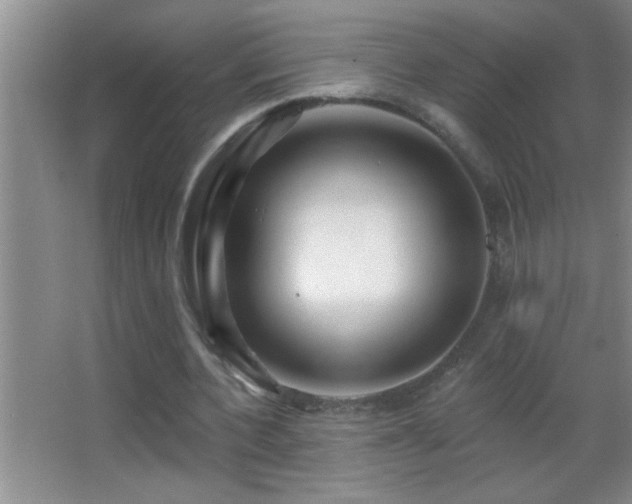 X0000062910532200601131428