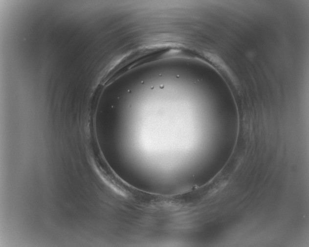 X0000062910533200601131428