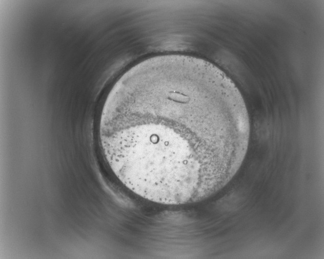 X0000062910534200601131428