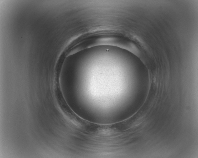 X0000062910540200601131429