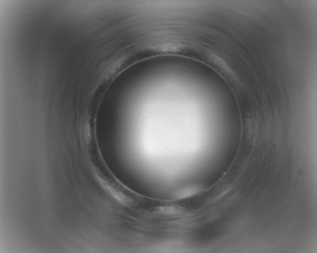 X0000062910541200601131429