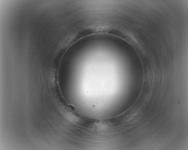 X0000062910545200601131429