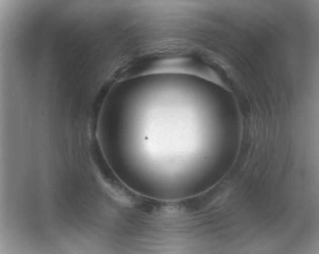 X0000062910546200601131429