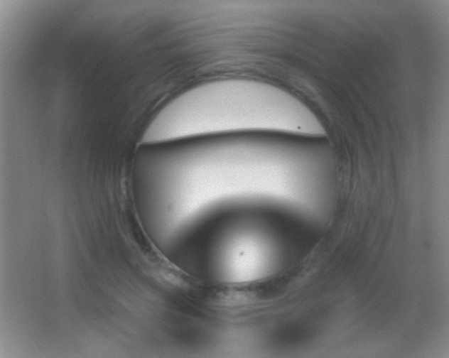 X0000062910549200601131429