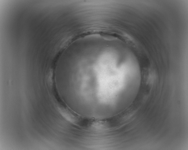 X0000062910550200601131429