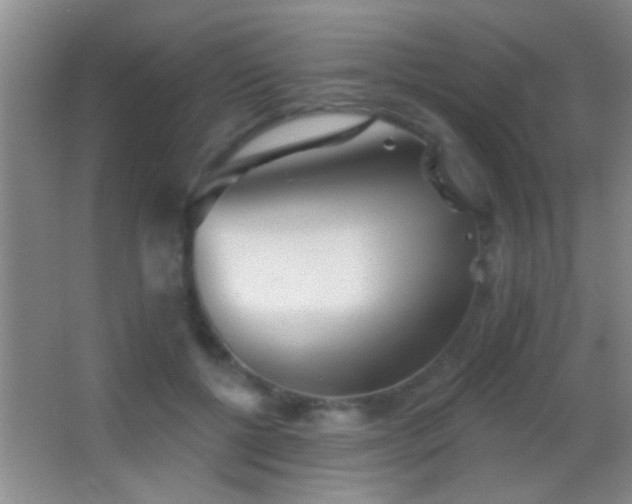 X0000062910552200601131429