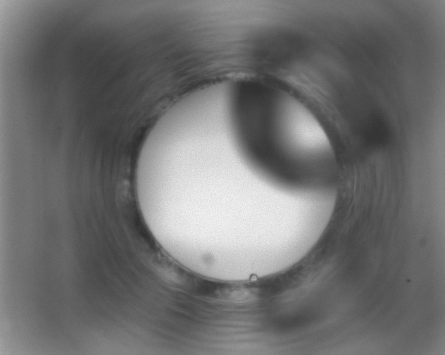 X0000062910553200601131429