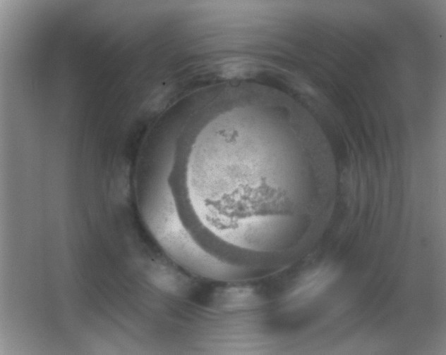 X0000062910554200601131429