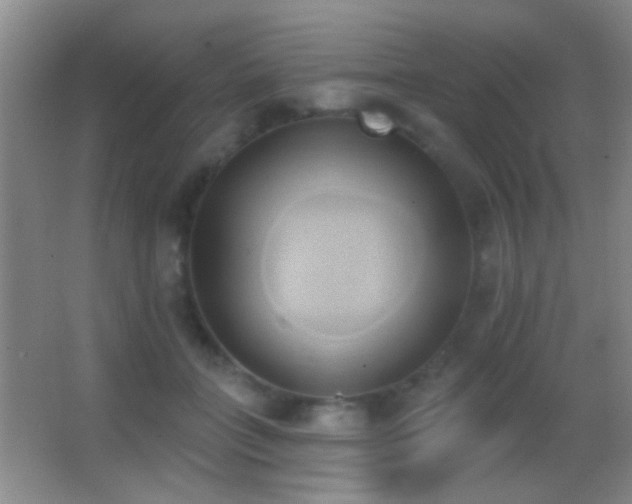 X0000062910555200601131429