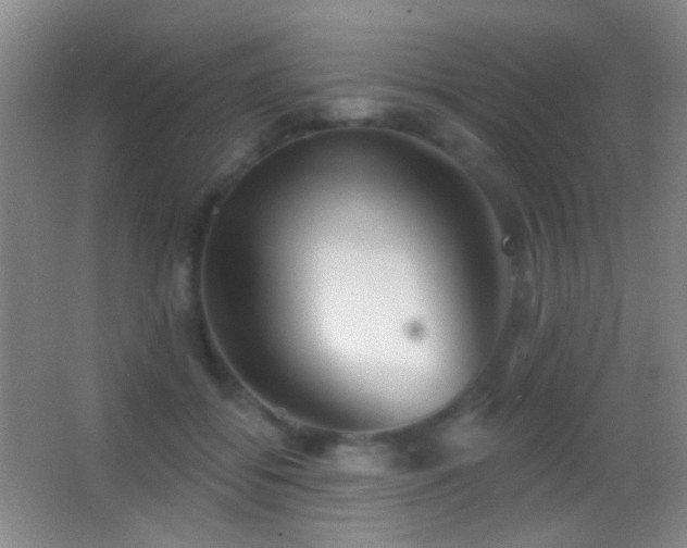 X0000062910556200601131429