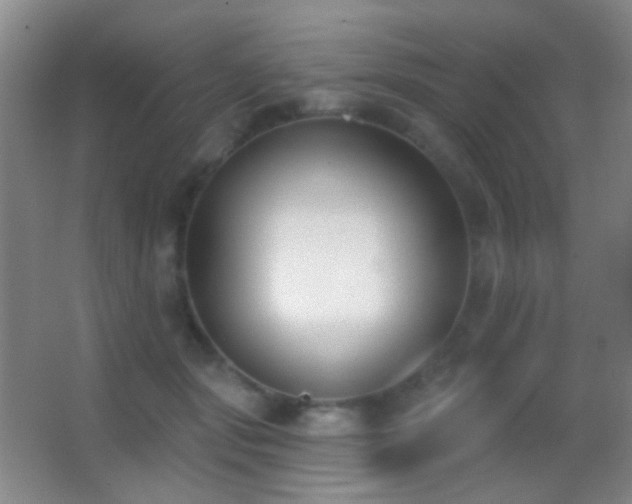 X0000062910557200601131429