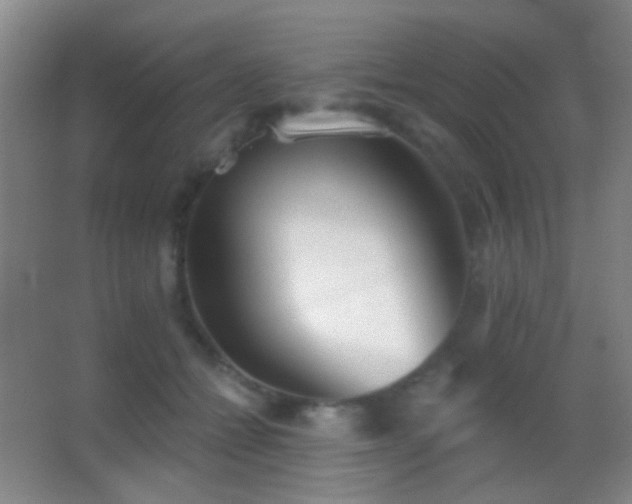 X0000062910558200601131429