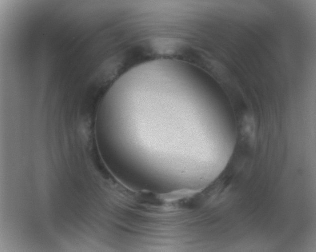 X0000062910559200601131429