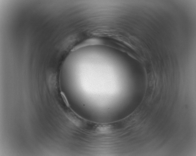 X0000062910560200601131429